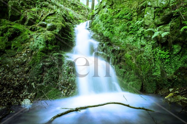 waterfall on forest