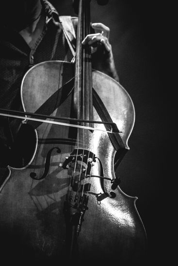 violonchelo Other Themes Black and White (Digital)