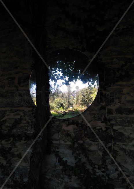 Cicuta nº29: Oval...