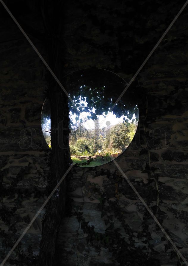 Cicuta nº29: Oval mirror