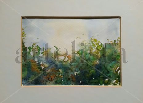 Mininaturaleza 2