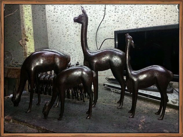 familia de llamas