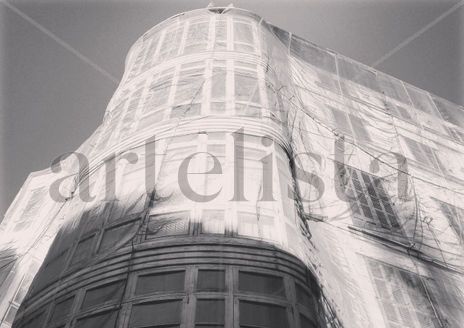 Cicuta nº31: La...