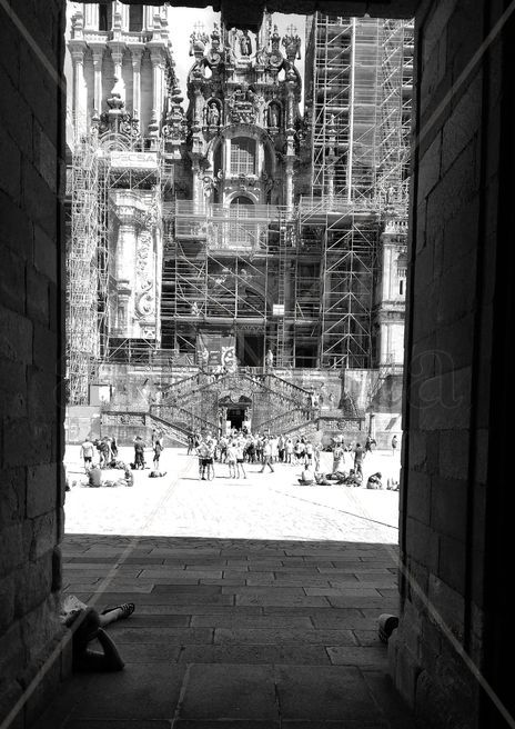 Cicuta nº35:...