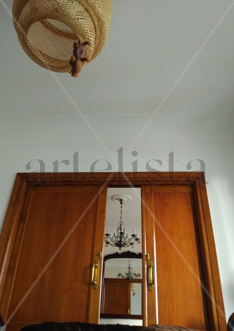 Cicuta nº43:...