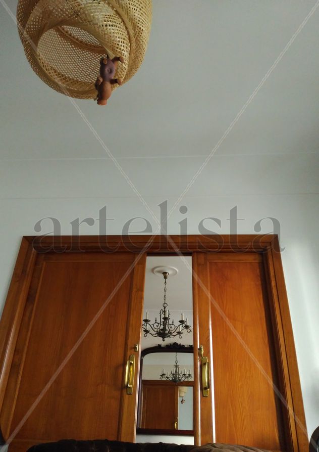 Cicuta nº43: Domestic dreams