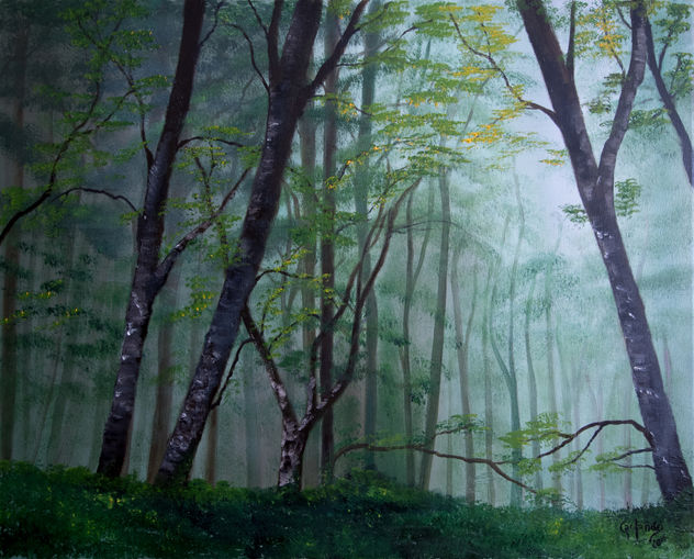 Bosque Verde