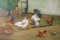 Gallo y gallinas