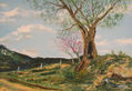 L'Olivera