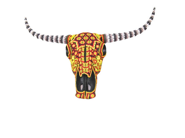 Cabeza de Toro Huichol