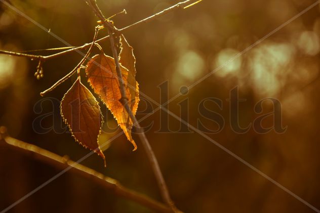 Otoño cálido