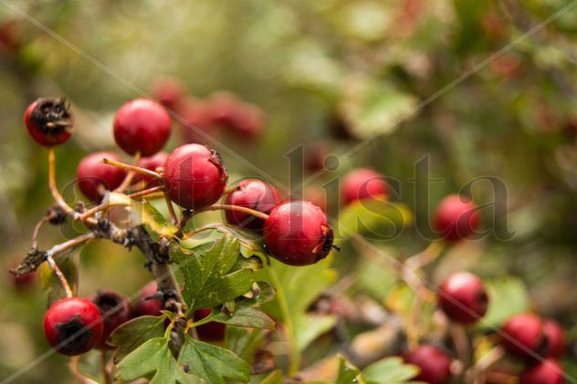 Colorido en otoño