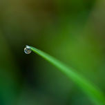 Naturaleza pura thumbnail 2