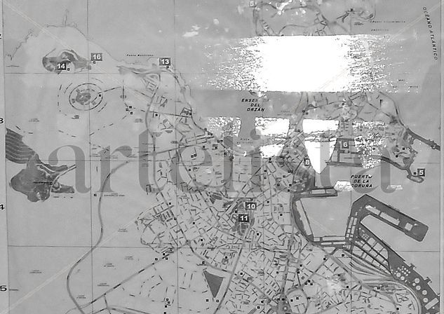 Cicuta nº56: Mapa y territorio Nature Black and White (Digital)