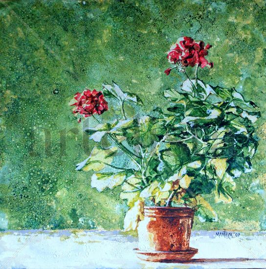 Geranio Oil Canvas Floral Painting