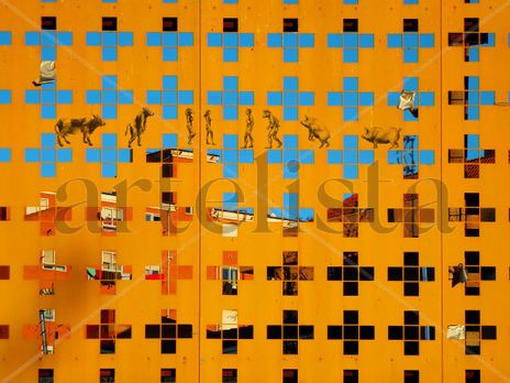 Orange evolution