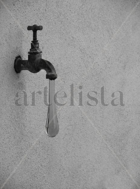 Gota