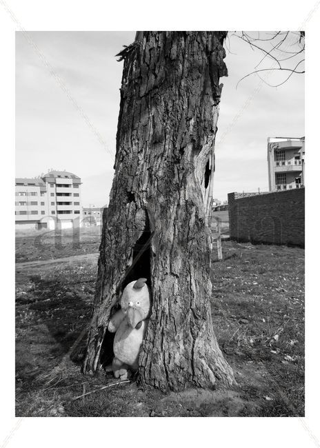 New species