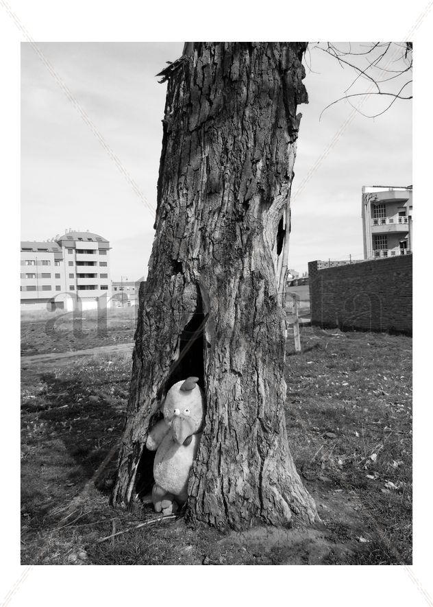 New species