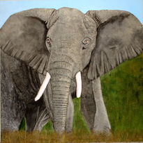 Elefant