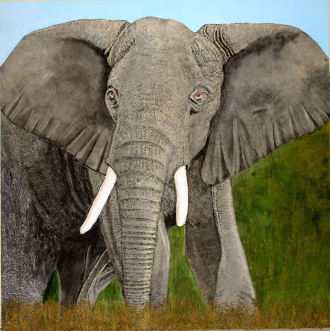 Elefant