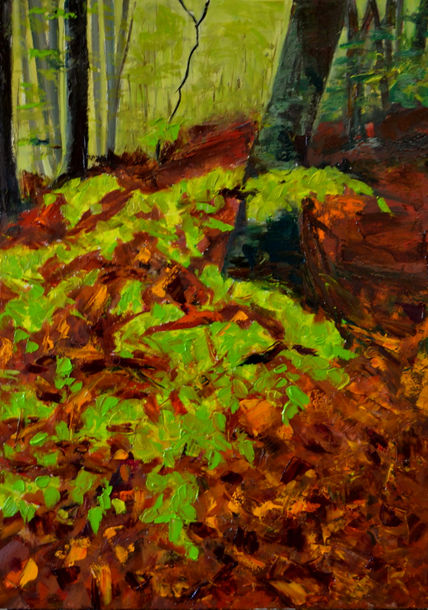 Heura al bosc