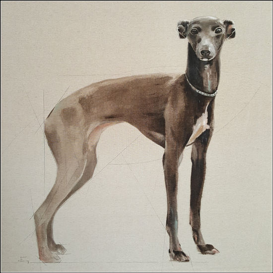 Galgo 2 Oil Canvas Animals