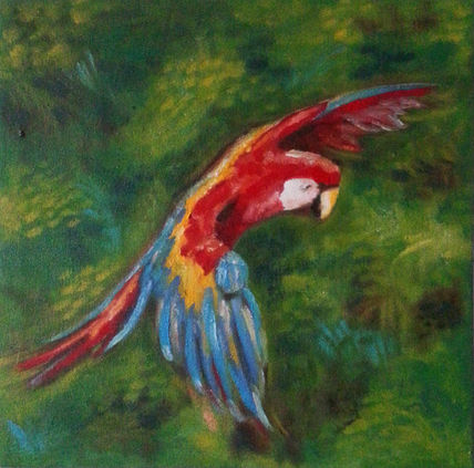 Selva