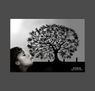 Ninfa soplo arbol