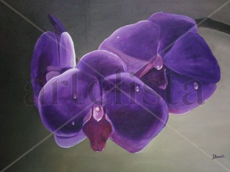 Orquidea