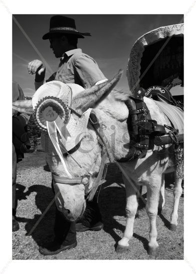 Burro 1 Viajes Blanco y Negro (Digital)