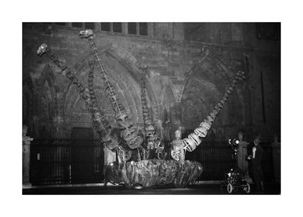 Dragones 2