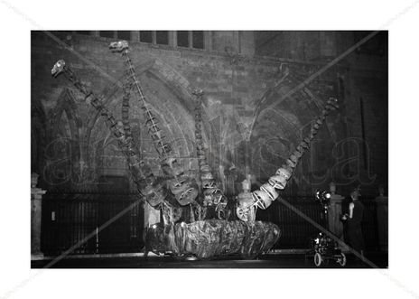 Dragones 2