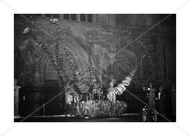Dragones 2
