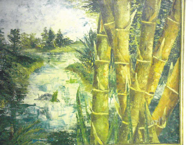 paisaje natural
