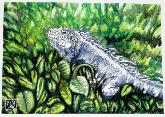 "Presencia de la iguana-camaleón"