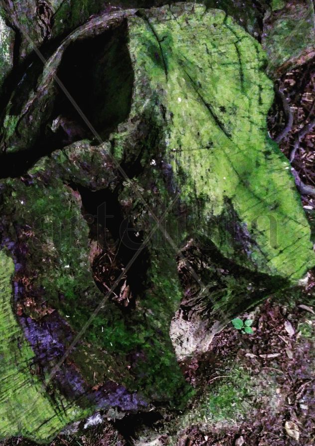 Cicuta nº61: Tronco púrpura