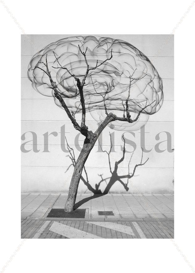 árbol cerebro