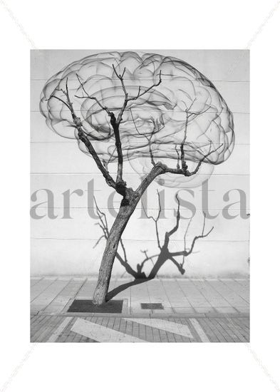 árbol cerebro Conceptual/Abstracto Blanco y Negro (Digital)