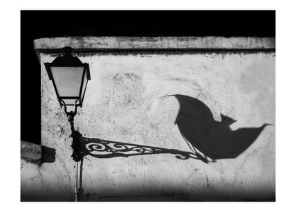 Batshadow