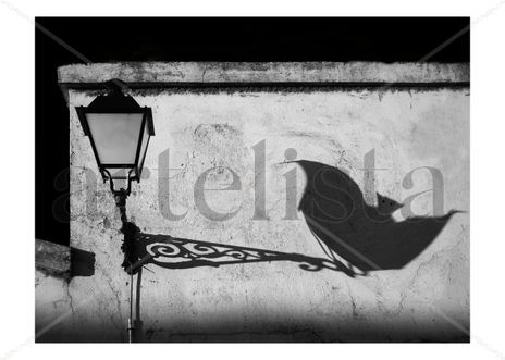 Batshadow