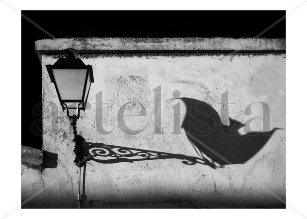 Batshadow