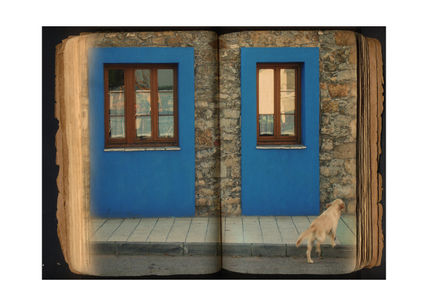Bluebook
