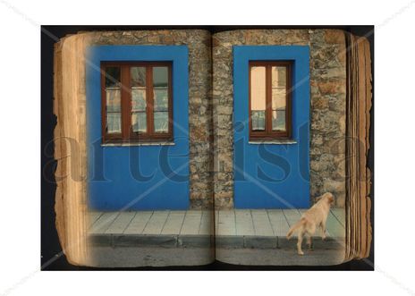 Bluebook