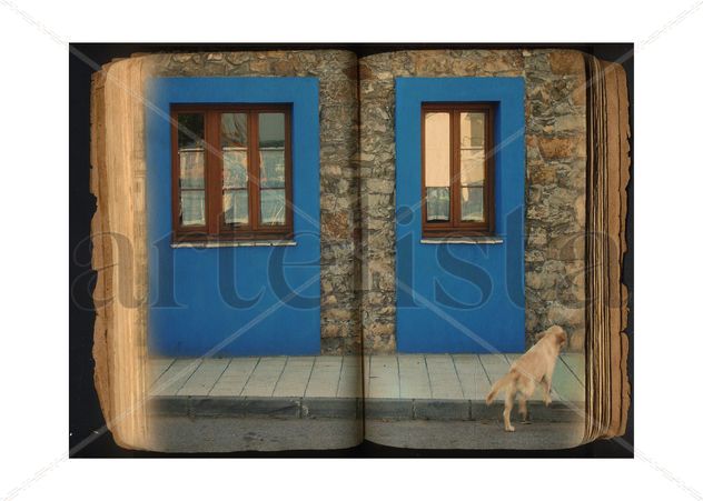 Bluebook