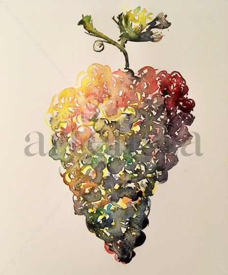 Harvest