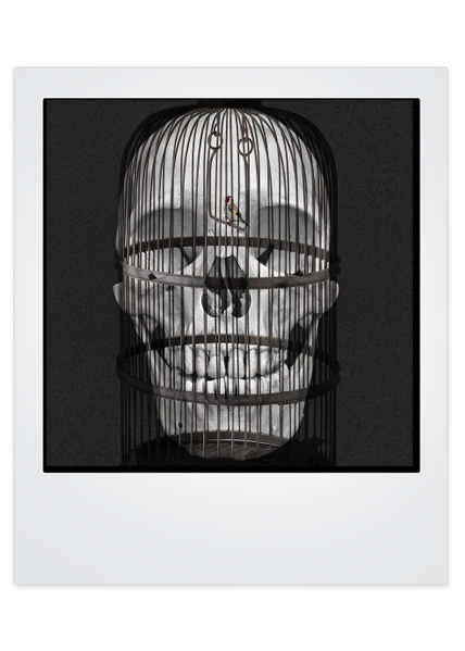 Calavera