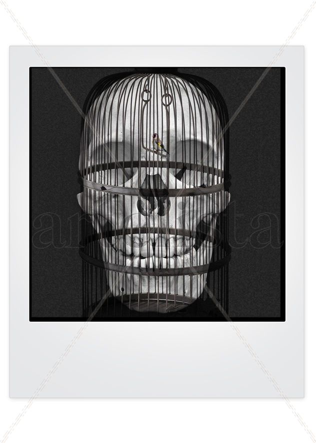 calavera
