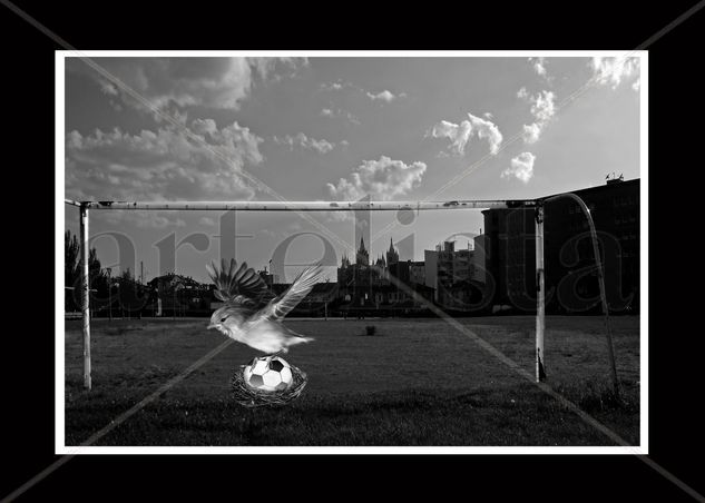 Como nace un futbolista Conceptual/Abstract Black and White (Digital)