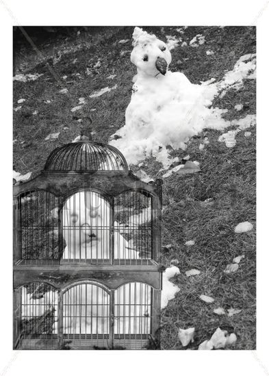 jail snowy Other Themes Black and White (Digital)